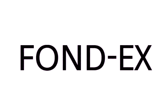 捷克布尔诺FOND-EX国际铸造展览会 标识